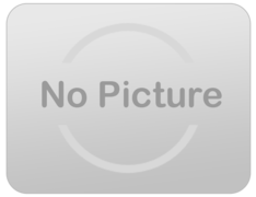 Winter Rentals Winter Rentals